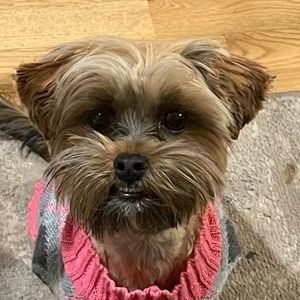 Meet your Posher, Elicia